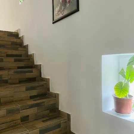 Pensiunea Dedu Buşteni