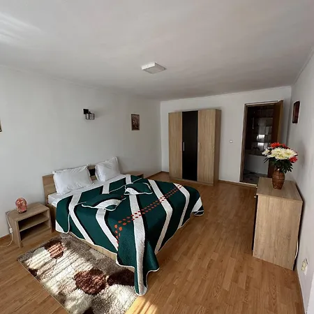 Pensiunea Dedu Gæstehus 3*