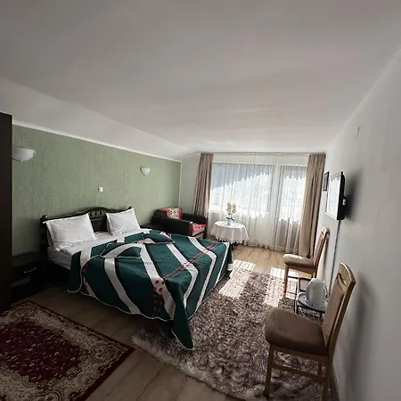 Pensiunea Dedu Gæstehus 3*